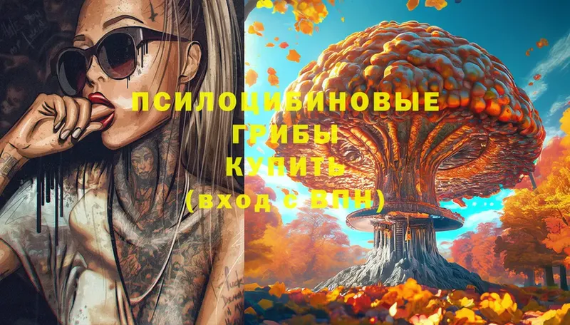 Галлюциногенные грибы MAGIC MUSHROOMS  Хабаровск 